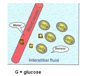 ongezond Kan worden berekend Sceptisch Continuous blood glucose testing: How do sensors work? —